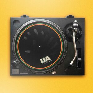 Turntable Slipmat